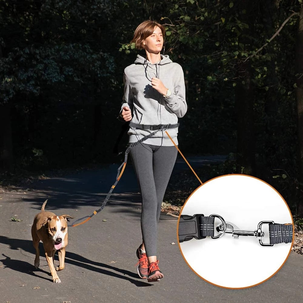 Hands-Free Dog Running Leash–Adjustable Waist Belt Pet Lead For Walking, Jogging & Hiking