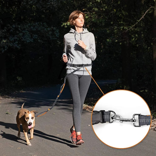 Hands-Free Dog Running Leash–Adjustable Waist Belt Pet Lead For Walking, Jogging & Hiking