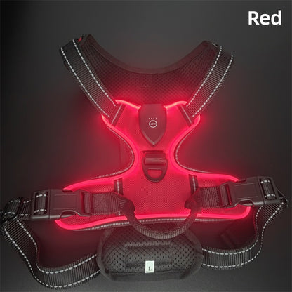 USB Rechargeable LED Dog Harness & Leash Set–Reflective Safety Harness For Night Walks