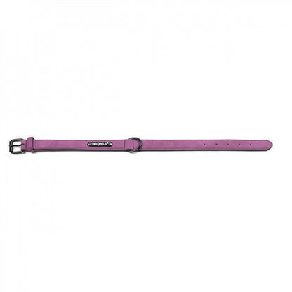Adjustable Dog Collar–Comfortable Everyday Pet Collar For Small & Large Dogs