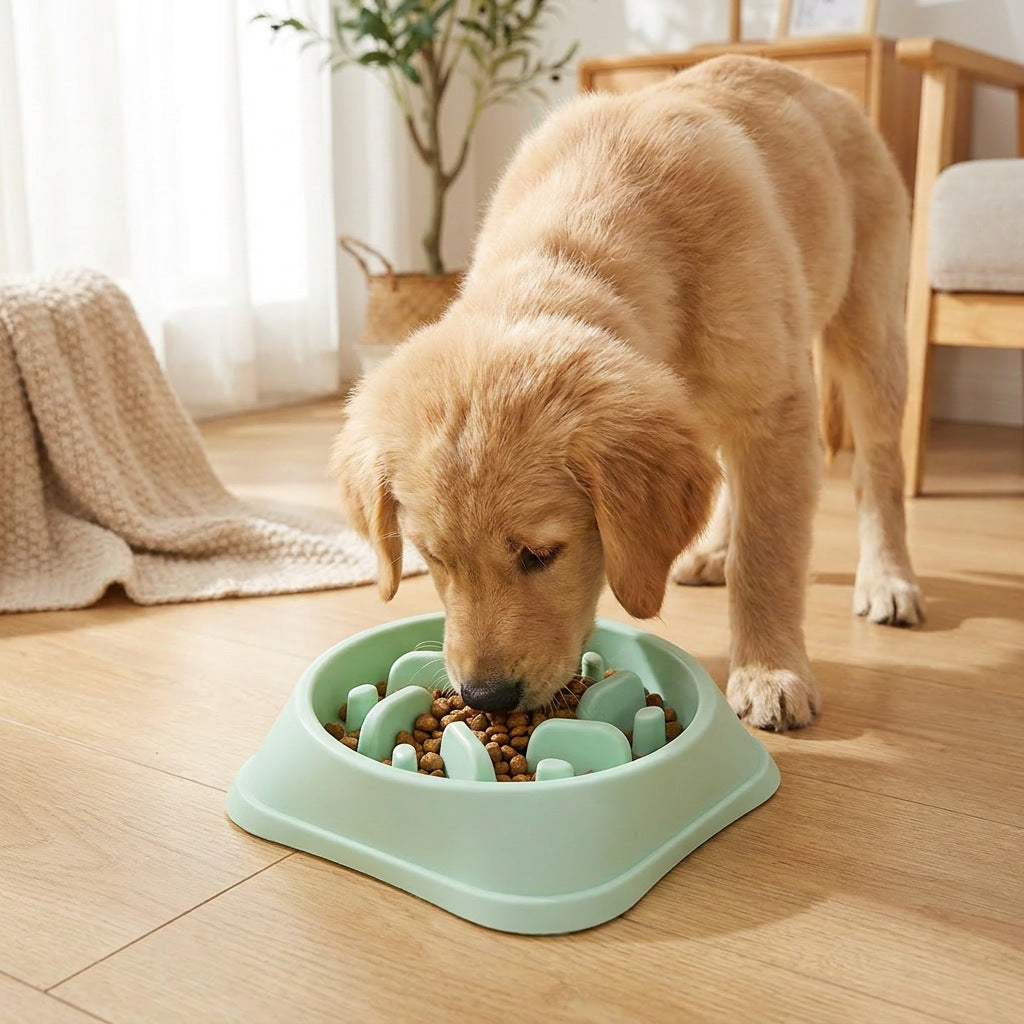 Cute Slow Feeder Pet Bowl–Anti-Spill Food & Water Bowl For Dogs & Cats