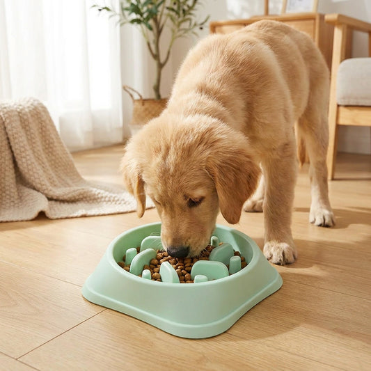 Cute Slow Feeder Pet Bowl–Anti-Spill Food & Water Bowl For Dogs & Cats