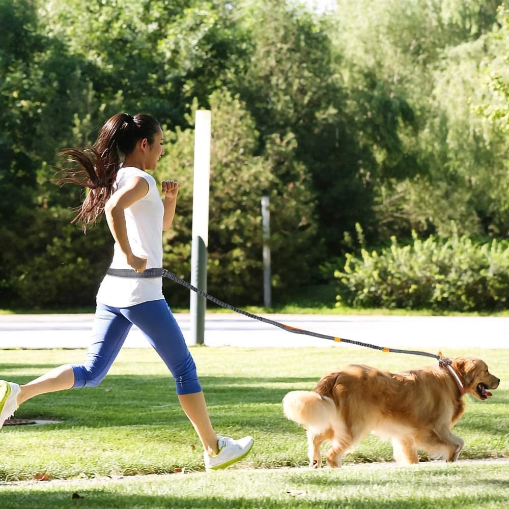 Hands-Free Dog Running Leash–Adjustable Waist Belt Pet Lead For Walking, Jogging & Hiking