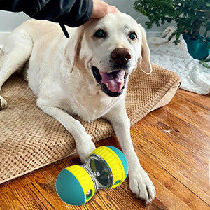 Interactive Pet Slow Feeder Toy - Rotating Treat & Food Dispenser for Dogs & Cats