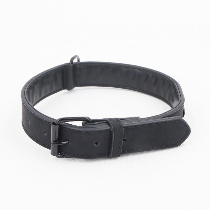 Adjustable Dog Collar–Comfortable Everyday Pet Collar For Small & Large Dogs