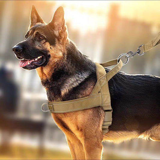 Military Tactical Dog Harness–Heavy-Duty Adjustable No-Pull Pet Vest