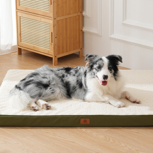 Plush Lambswool-Style Pet Bed - Thick Washable Cushion Bed for Dogs & Cats