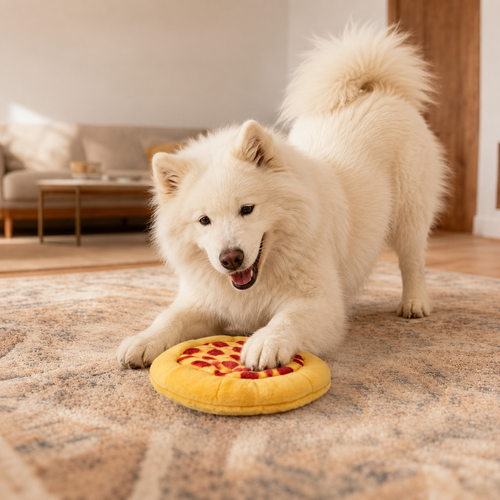 Plush Pizza Dog Toy–Interactive Squeaky Chew Toy For Dogs & Puppies