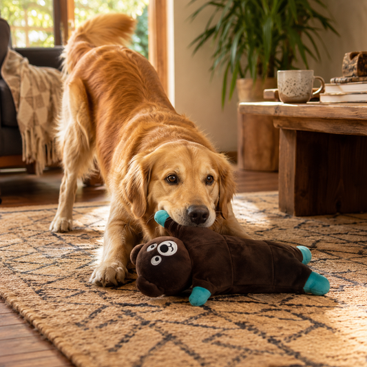 Stuffing-Free Plush Dog Toy–Squeaky Bite-Resistant Animal Chew Toy