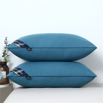 Cervical Spine Pillow Core–Ergonomic Neck Support Pillow, 3D Cotton & Down Velvet Bed Pillow for Pain Relief & Better Sleep