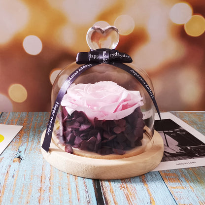 Eternal Rose Glass Dome–Heart-Shaped Forever Flower Gift with LED Display